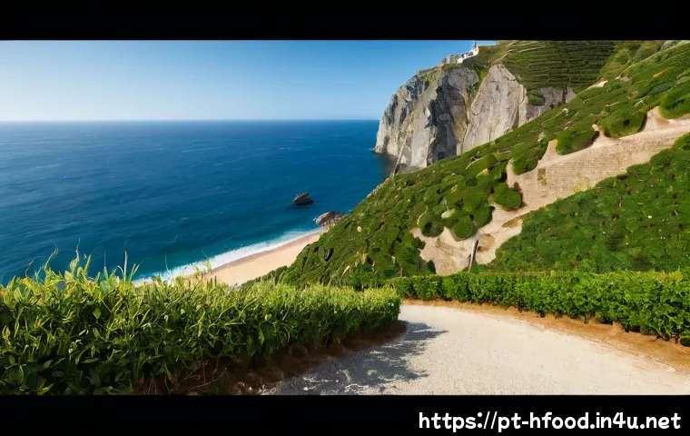 5 marcas de refeições veganas práticas para comparar em Portugal: preço, ingredientes e conveniência 4 비건 간편식 브랜드 TOP 5 관련 이미지 2
